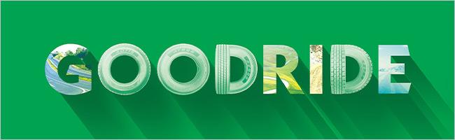 Pneus hiver Goodride chez Goodwheel.fr