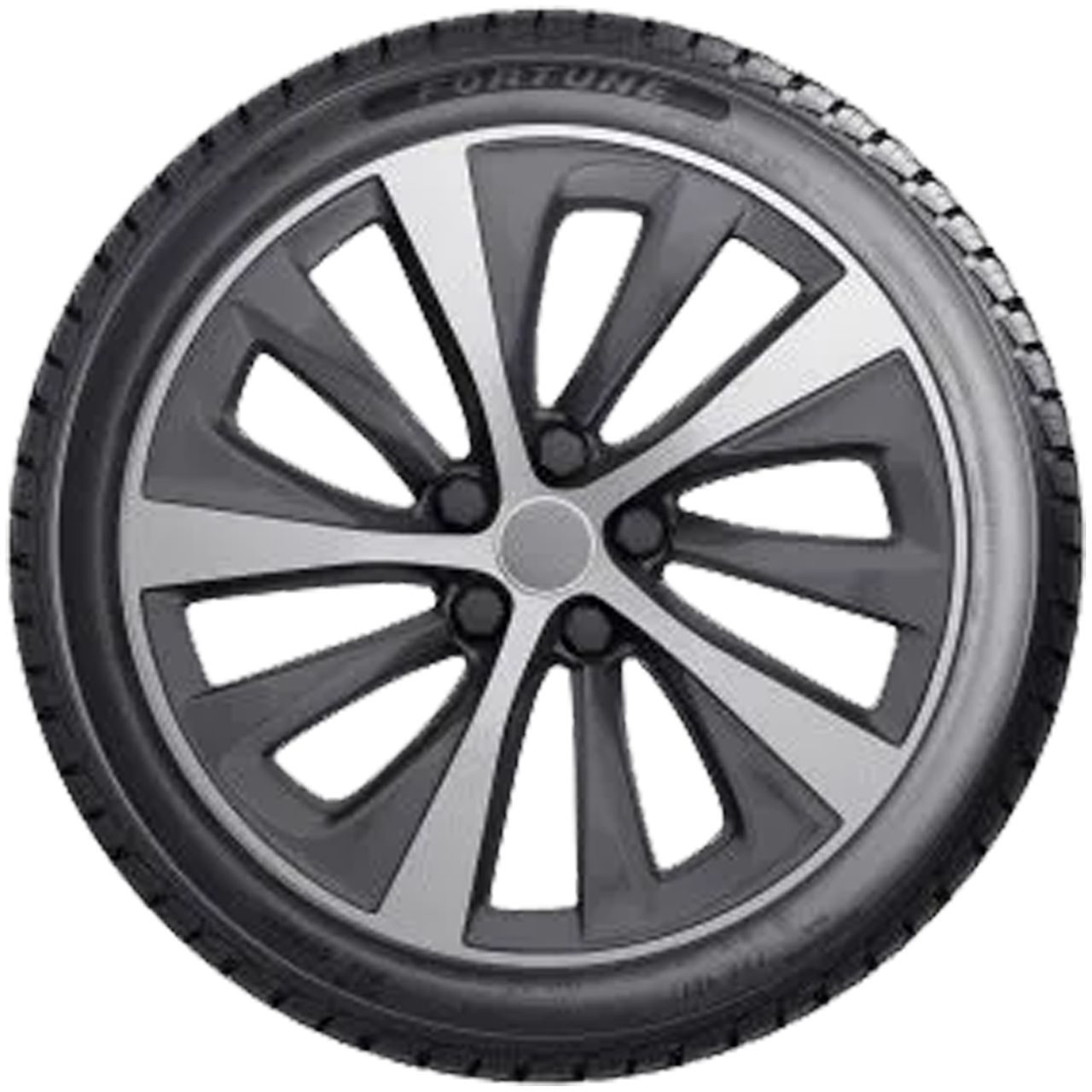 FORTUNE FITCLIME FSR-401 205/50R17 93W XL MFS BSW