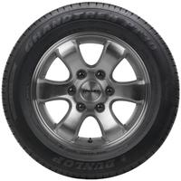 DUNLOP GRANDTREK PT 30 225/60R18 100H