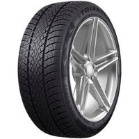 TRIANGLE WINTERX TW401 185/65R15 88H BSW