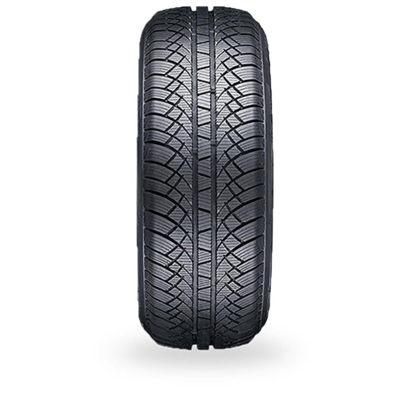 WANLI WINTER-MAX U1 SW611 195/65R15 91H