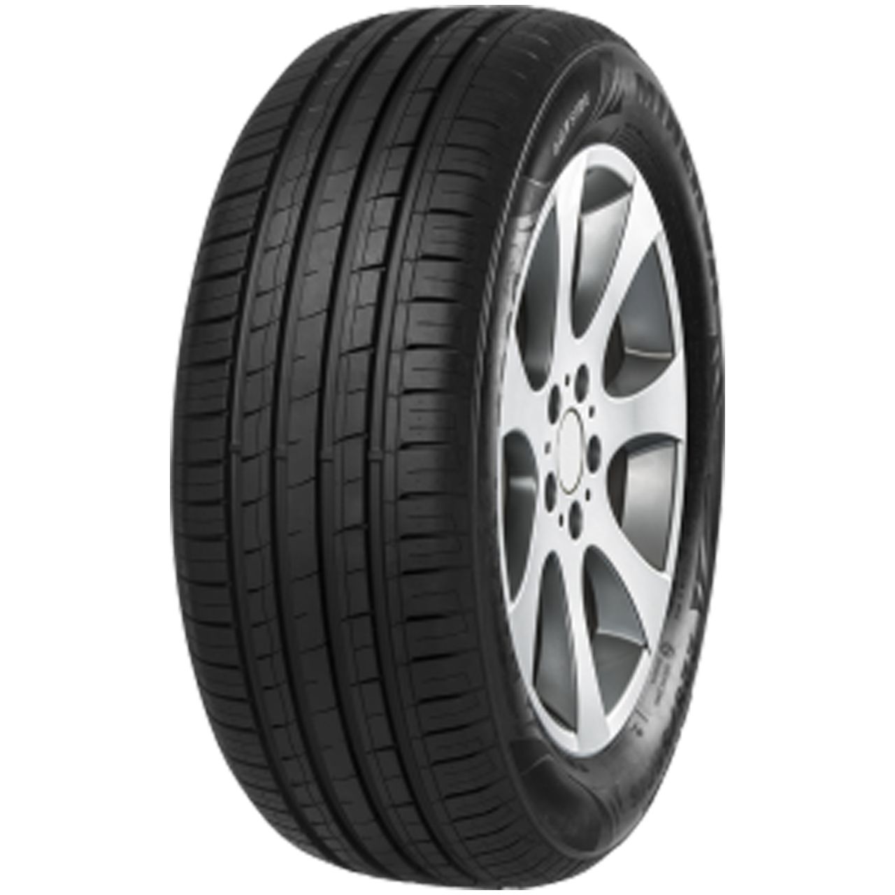 MINERVA F209 205/55R16 94V XL