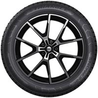 TRIANGLE SNOWLINK PL01 225/65R17 106R XL NORDIC COMPOUND BSW