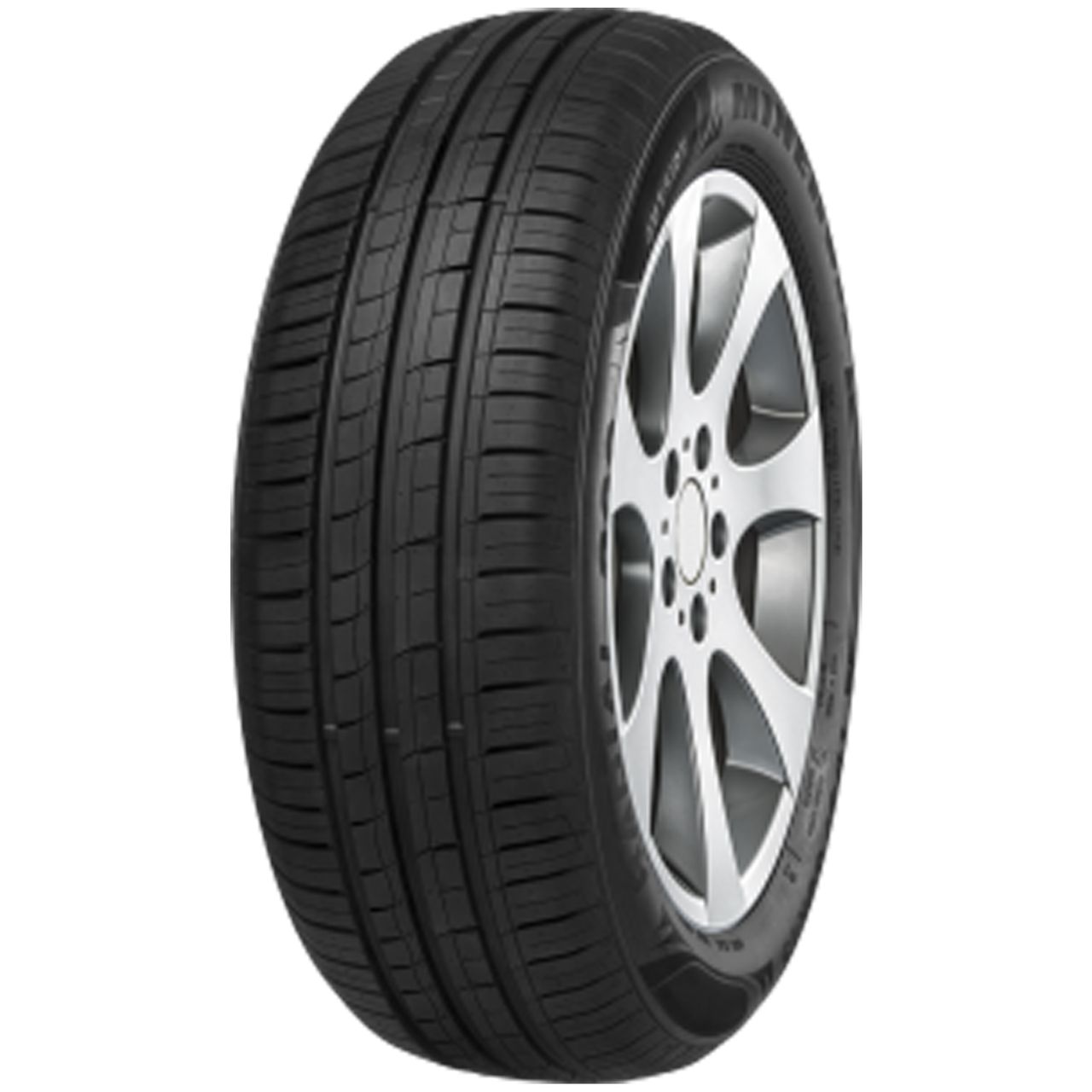 MINERVA F209 205/55R16 94V XL