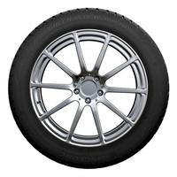 LINGLONG GREEN-MAX WINTER HP 215/55R16 97H XL MFS BSW