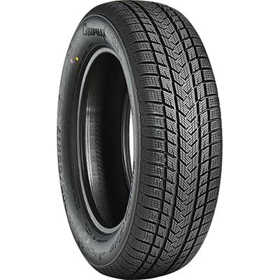 GRIPMAX SUREGRIP EWINTER 205/60R17 97V XL BSW