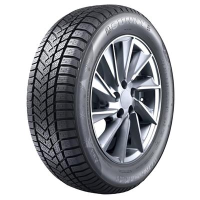 SUNNY WINTERMAX NW211 195/55R15 85H BSW